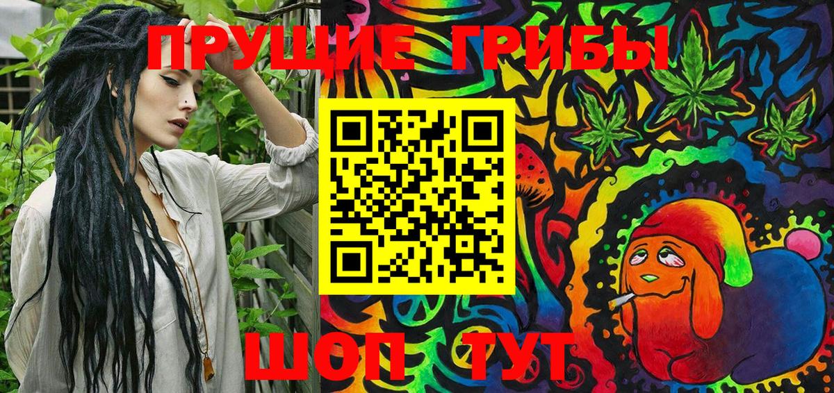 Псилоцибиновые грибы Cubensis Печора